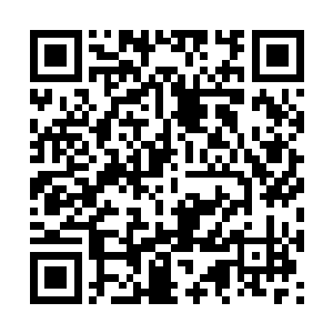 岂不说明焱火丹田也能将眼前这个火龙之石融进去二维码生成