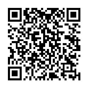 岂可浪费在一堵石墙面前一个人无权决定一个人的悲惨命运二维码生成