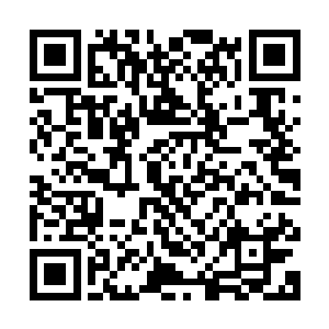 岂料在他点头以后所有潘德拉人都迅速解决完餐盘中剩下的饭菜二维码生成