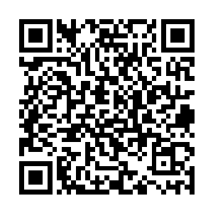 岂是区区没有凝聚太乙小世界的普通真仙能够揣度的二维码生成