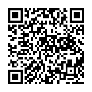 岂能如此安然的一直留在这里感悟荒道圣珠内的荒之天道二维码生成