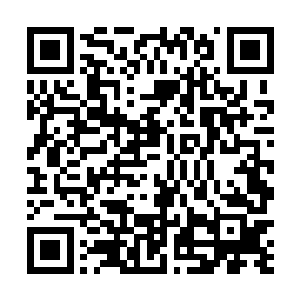 岂非意味着我们的文明彻底丧失了自己独立摸索的精神二维码生成