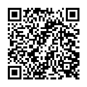 岑半兰等等美名远播的美人无疑是饱受目光摧残的二维码生成