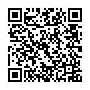 岚之国历代为整个人类社会守边最后得到了什么二维码生成