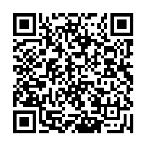 岚姐你可是我们江南省最年轻最能干的公安局局长呢二维码生成