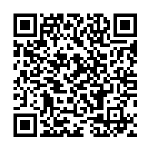 岛屿和海面上的诸多觉醒者都听到了李耀振聋发聩的宣言二维码生成