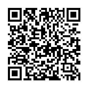 岩浆火蟒只是稍稍的滞缓了下便闪电般扑向纳甲土尸二维码生成