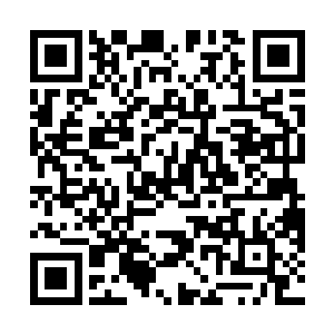 岩鸠很不得将那些笨鸟的脑袋切开看看到底哪里长错了二维码生成
