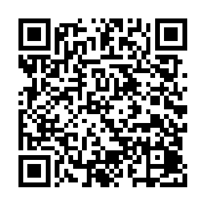 岳京却是以元婴的形式炼化的河伯仙府镇府精魄二维码生成