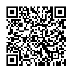 岳关发现他就这么莫名其妙地被拖到一个危险的计划中二维码生成