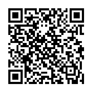 岳卓群和四峰的峰主也看出来岳京的修为是结丹期第一层二维码生成