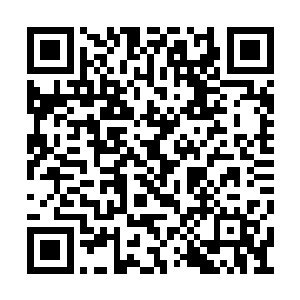 岳南山感到自己的胳膊好像被斧头砍了一下一样二维码生成