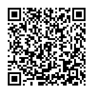 岳南山竟然丢下一部记录着杨雄等人设计陷害赵长枪的手机跳楼逃走二维码生成