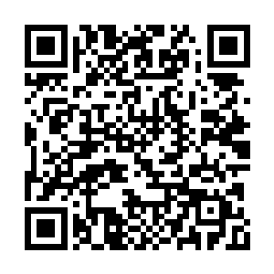 岳少华终于明白为什么王世子专门跟他坐一辆车二维码生成