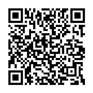 岳恒倾力打造的第一柄白剑终于花落景都督手中二维码生成