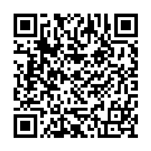 岳横刀三人从底层修士一步步冲击到今日的修为二维码生成