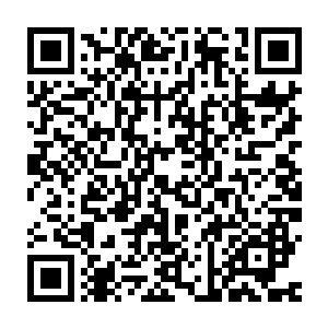 岳横刀见夏云杰刚才不管是杀罗浮真人还是雁山剑仙皆是果断冷狠二维码生成