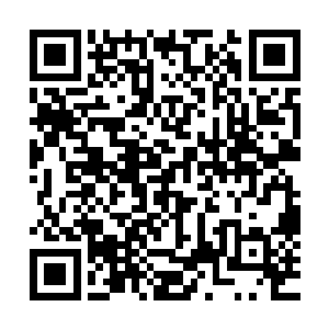 岳萱萱怕许家的人又会找借口拖延下去到时候激怒了自己师傅二维码生成