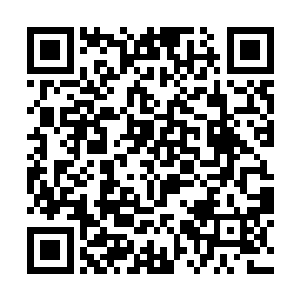 岳萱萱的威压并没有作用在这两位许家年轻人的身上二维码生成