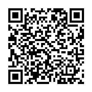 岸上正在等待消息的岛民立刻就划着一艘小船赶了过来二维码生成