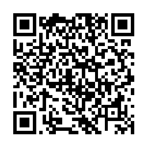 岸上的本尼和渔业公司的职员们不由的叫了一声好二维码生成