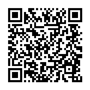 岸上盯着二人的杨蜜一下子便看到了好友的危险二维码生成