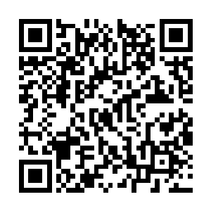 岸边黄黄绿绿的树木在夏日的阳光里显得格外清晰二维码生成
