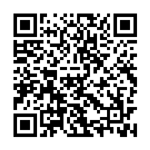 峡谷底部赫然能看到一条差不多能并排进入两辆车二维码生成