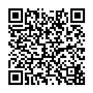 峰主吩咐这次一定要把最后的绝世八品丹药买到手二维码生成