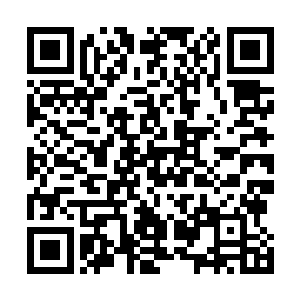 崔博士实际上已经不是第一次和出去执行任务的系统对话二维码生成