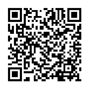 崔夫人嫡亲二姐赵氏向堂下张望了两眼低下头道二维码生成