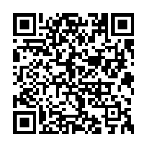 崔尼蒂和尼奥等人被困在一座废弃酒店的房间里二维码生成