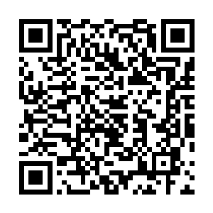 崔教授像是看个怪物一样望着贝海打量了十几秒钟才说道二维码生成