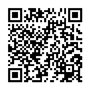 崔斯特体内的真气立刻将经脉和五脏六腑全部摧毁二维码生成