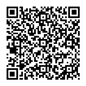 崩离的81个魔族骑士瞬间就有超过一半的人在那剧烈的光芒之中变成血沫和齑粉从空中落下来二维码生成