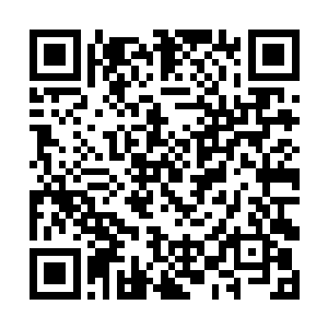 巅峰混沌神兵就算在斜月至尊域都算得上极强兵器了二维码生成