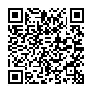 巍然如山海一般的杀戮之气遽然从马纵横神色涌了出来二维码生成