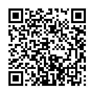 巡逻队的人看了眼面前浑身血气的这近三十个游人二维码生成