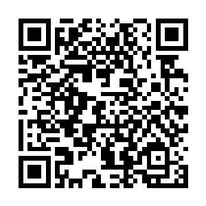 工作人员的脸上显然也是露出了一丝丝失望的神色二维码生成