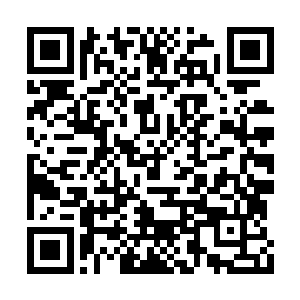 工作实绩突出的干部也被破格纳入了常委会视线二维码生成