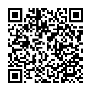 工甲恒哪知道随手在屋子里捡的一块石头就这么硬呢二维码生成