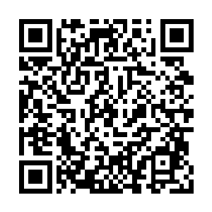 左丘默也不过是女王陛下一时新鲜的开胃菜而已二维码生成