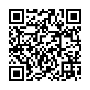 左前方是密集的三四十棵粗大树木二维码生成