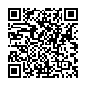 左厚文都在马车里看着对面院落间进进出出的那名女子的身影二维码生成