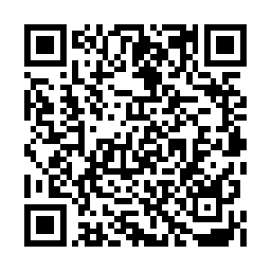 左右两面的小土包上的炮兵阵地也已经构筑好了二维码生成