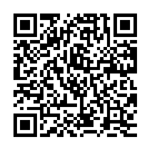 左右为难的族长大人就这样被几个上了岁数的婶子给关在了门外二维码生成