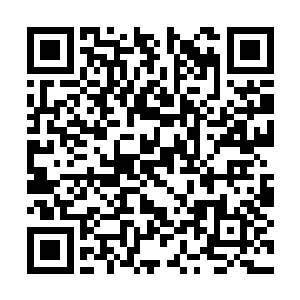 左右家里的正妻一直在因为法国娘们的事情在闹腾二维码生成