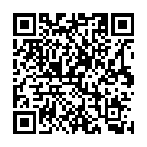 左右手各自灵巧无比地从腰带上的两个口袋里抓出一把东西二维码生成