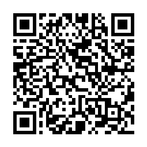 左司和左司父亲随时都可能亲自参与到进攻人鬼市场行动中二维码生成