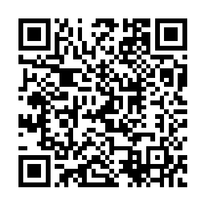 左岩和遗失大6等圣级大修士与太虚宗圣级大修士相互施礼二维码生成